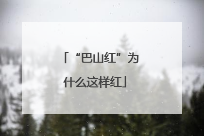 “巴山红”为什么这样红